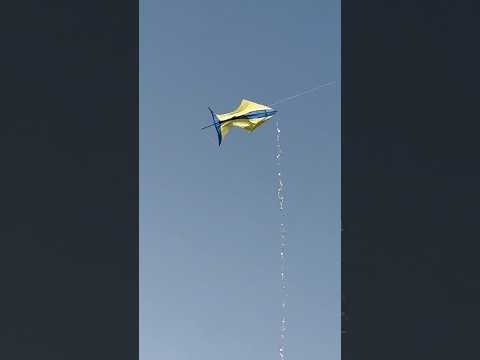 Eu depois de tomar relo 16 vezes para o mesmo cara!!! 😭