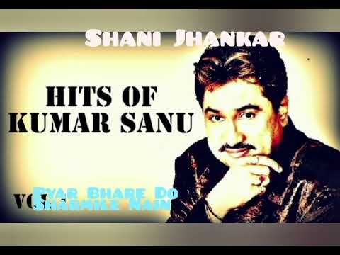 Pyar Bhare Do Sharmile Nain {{Kumar Sanu)) by Shani Jhankar Studio