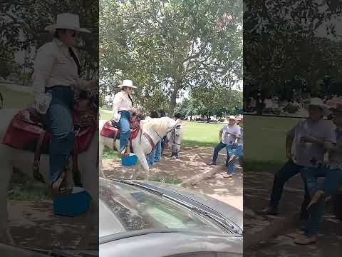 #concentração da #cavalgada em Santa Bárbara de Goiás, Estado de Goiás, Brasil.