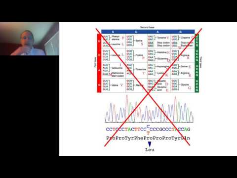 Nadav Ahituv, PhD - Functional Characterization of Gene Regulatory Elements