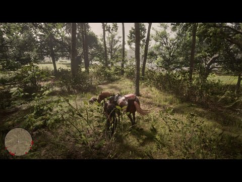 RDR2 Master Hunter Challenge 10 - Legendary Panther Giaguaro