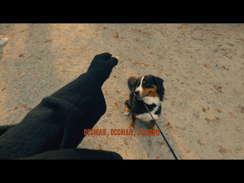 Carl Brave - OCCHIAIE (Official Video)