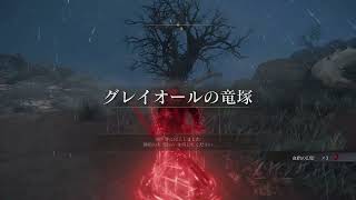 テディ男生存報告