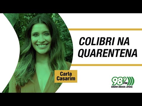 🔴 Colibri na Quarentena - 17.03.2021 - Carla Casarim