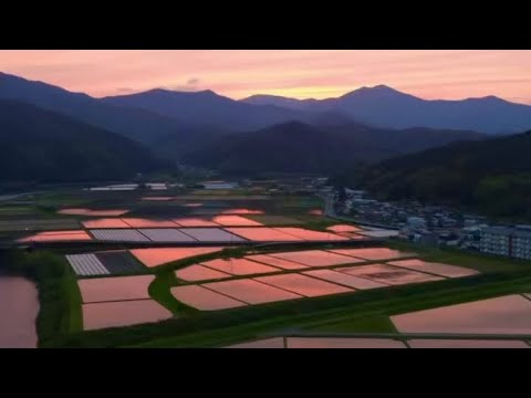 同じ川・同じ場所・違う時間｜松葉川の四万十川ドローン映像集