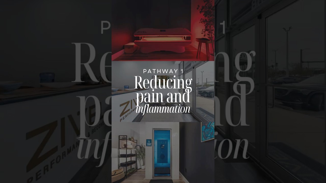 Pathway 1 - Pain & Inflammation Relief