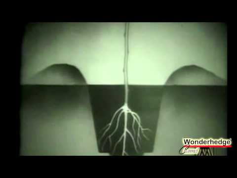 Telepítés trükkjei