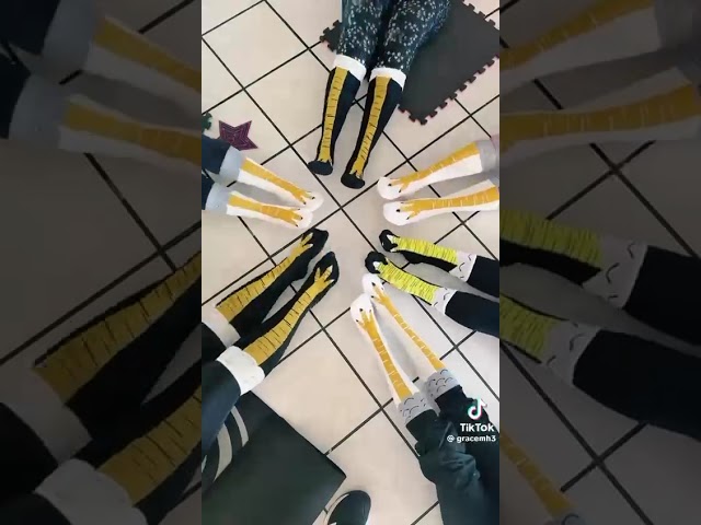 Vídeo relacionado con BIRLOZA Calcetines divertidos para adultos calcetines divertidos de pollo para mujer calcetines de pollo para mujer calcetines de pollo regalos pájaros patas, patas de pollo por encima de la rodilla