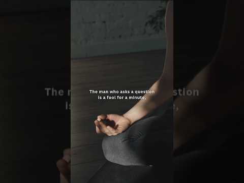 Don't be a fool for life | ThoughtMotive #personaldevelopment #wisdom #selfimprovement