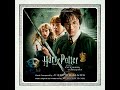 Magical Household and Letters From Hogwarts - John Williams, William Ross
