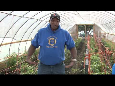 Growing Power, Maglio Produce join forces to build greenhouses