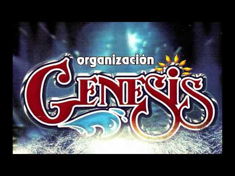 ORGANIZACION GENESIS - SAN LUIS POTOSI