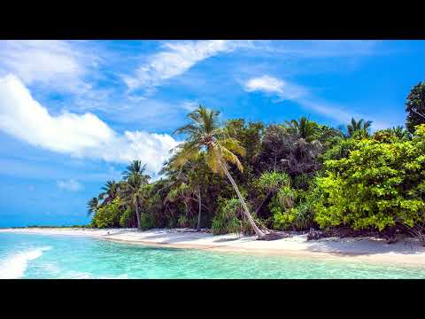 Paradise Beach. [Perfect soothing music 4k].