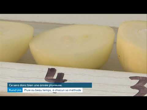 download lagu mp3 mp4 Meteo Parapente Alsace, download lagu Meteo Parapente Alsace gratis, unduh video klip Meteo Parapente Alsace