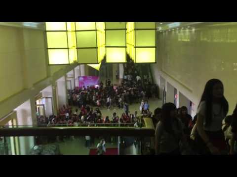 Cambodia Pancake Fan_DomreyAngkor2016