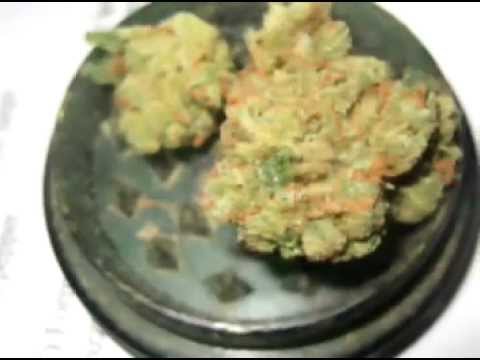 I Love to Smoke Amsterdam Marijuana 2011/2012