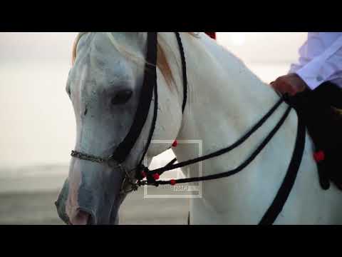 Isha gati te lija Islamin - Ngjarje dritheruese, Profesorit ja veshtiresuan fene