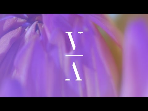 Deeparture - These Days