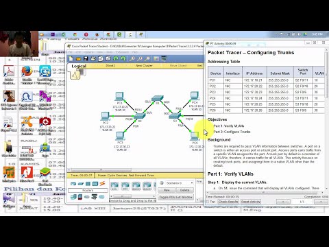 3.2.2.4 Packet Tracer Configuring Trunks
