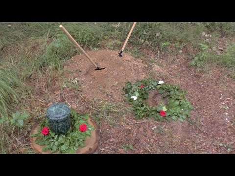 RuheForst Maintal YouTube-Vdeominiatur 1