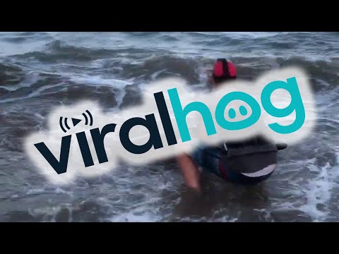 They Reel In The Most Unexpected Monstrous Creature From The Sea (VIDEO) item-thumbnail