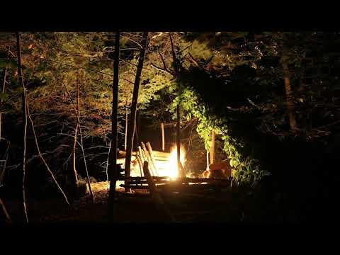 Sorin Vraciul - 4. Odă solitudinii (cu Sorin Vraciul)