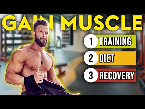 3 Ways to Build BIGGER Muscles FASTER