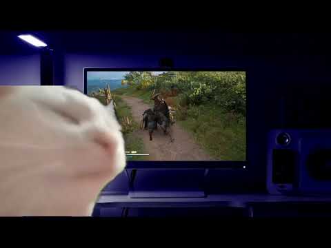 YouTube Thumbnail