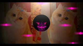 Download lagu DJ VIRAL TIKTOK MASHUP 2023 ( DJ LLOYD DROP REMIX ) mp3 Download lagu DJ VIRAL TIKTOK MASHUP 2023 ( DJ LLOYD DROP REMIX ) mp3