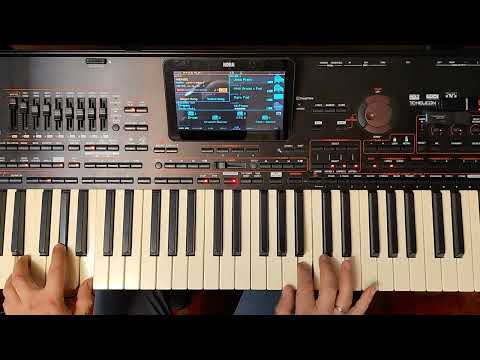 Korg S , Vladimir Korg