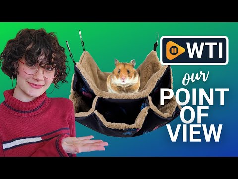 STTQYB Small Pet Cage Hammocks - WTI product video review