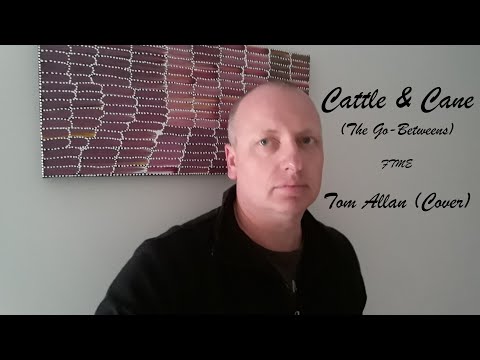 Cattle & Cane (The Go-Betweens) - Cover by Tom Allan