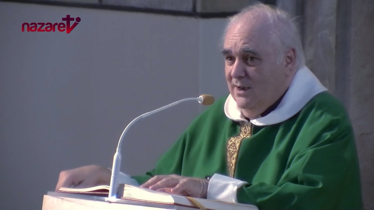 Evangelio y homilía de hoy miércoles 13 de noviembre de 2024. Rvdo. Enric Ribas, pbro.