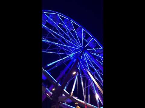 Beetseekers - Skyride