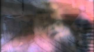 Tensnake - Need Your Lovin [Tiger & Woods Remix]  Permanent Vacation