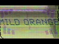 Mild Orange ~ Stranger (Official Audio)