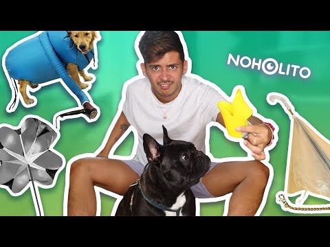 Episode 120 : 10 objets inutiles pour chien