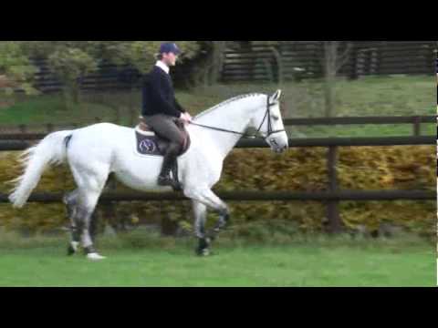 Livello Trot 1.wmv