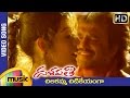 Rajinikanth Dalapathi Telugu Movie Songs Chilakamma Chitikeyanga Video Song Ilayaraja