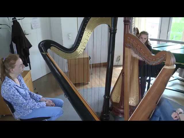 University of Music Karlsruhe video #2