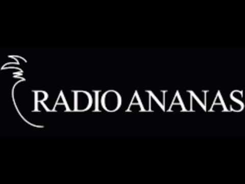 Arbitri Elegantiae - Intervista a Radio Ananas del 6.V.2016