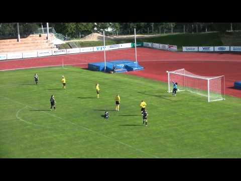 Visan Pallo - PeIK, 13.8.2011