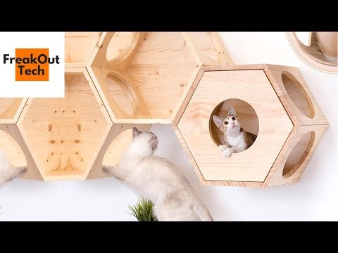 5 Incredible Inventions For Your Cat Video