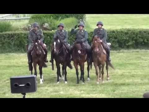 Berittbesichtigung SKS Gruppe Suter - Deutsche Kavalleriemeisterschaften 2015