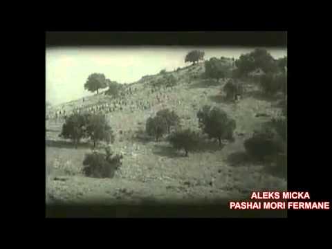 ALEKS MICKA-KENGE LABE-PASHAI MORI FERMANE