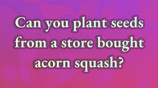 Can you plant seeds from a store bought acorn squash?