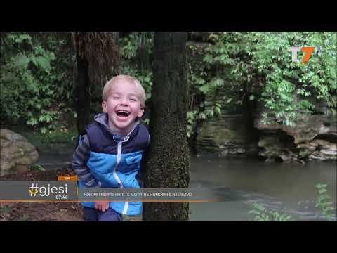 #gjesi: Ndikimi i ndryshimit të motit në humorin e njerëzve | T7