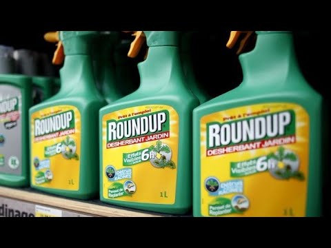 download lagu mp3 mp4 Shocking Ingredients In Beer, download lagu Shocking Ingredients In Beer gratis, unduh video klip Shocking Ingredients In Beer