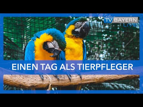 Einen Tag als Tierpfleger