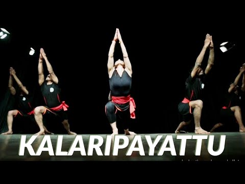 Kalaripayattu performance/show - FOR BOOKING +91 9711804975